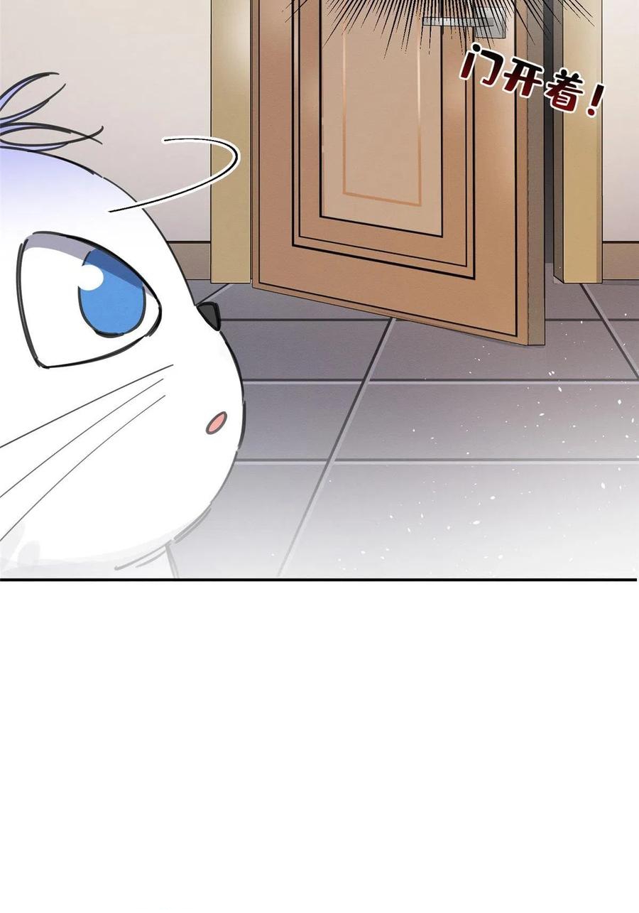 10 Tengo que trabajar duro para ser un gato hoy!