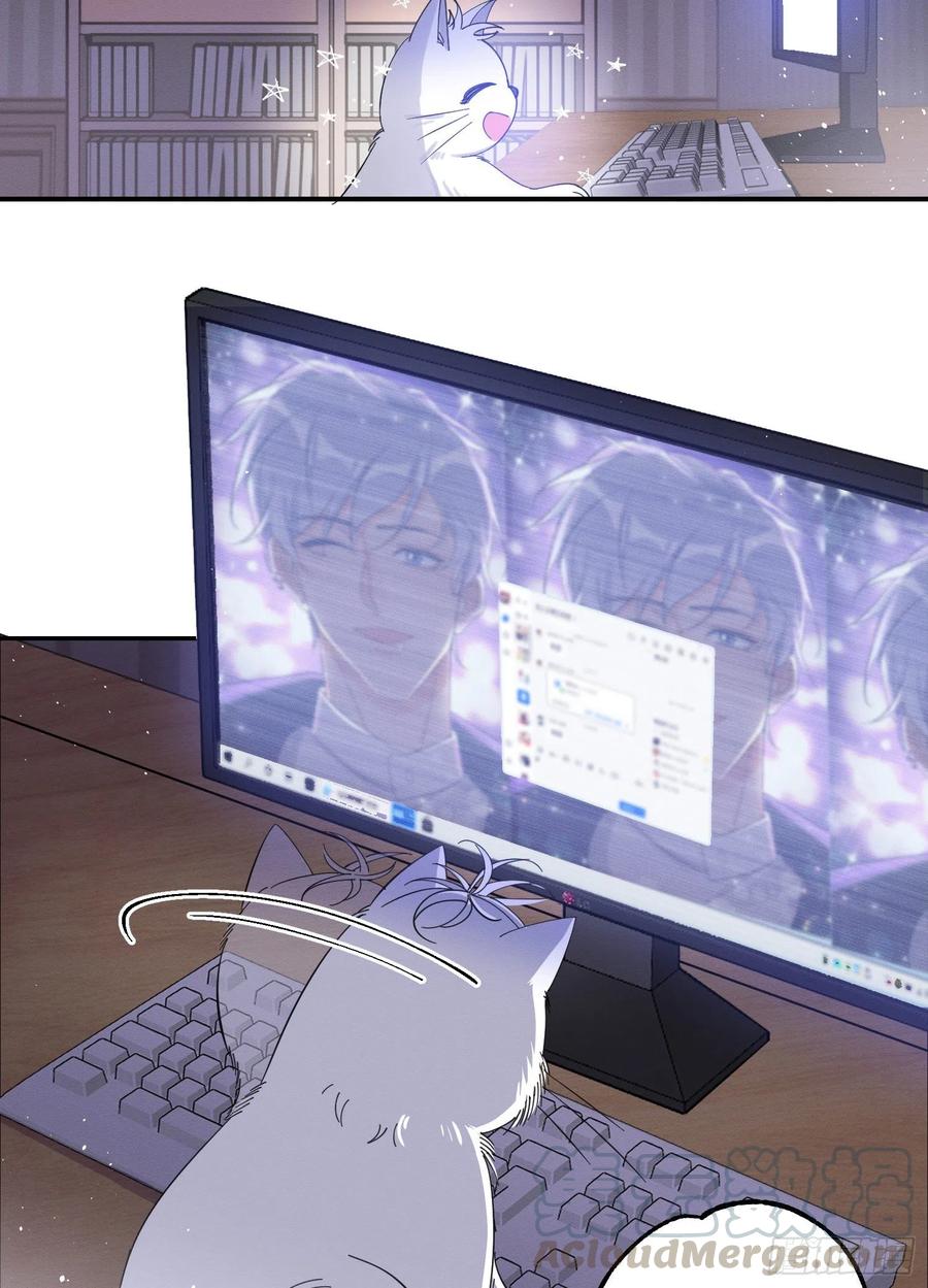 31 Tengo que trabajar duro para ser un gato hoy!