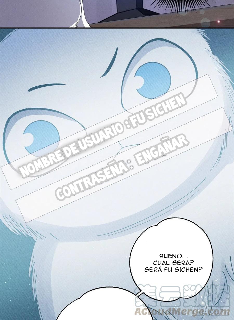 13 Tengo que trabajar duro para ser un gato hoy!