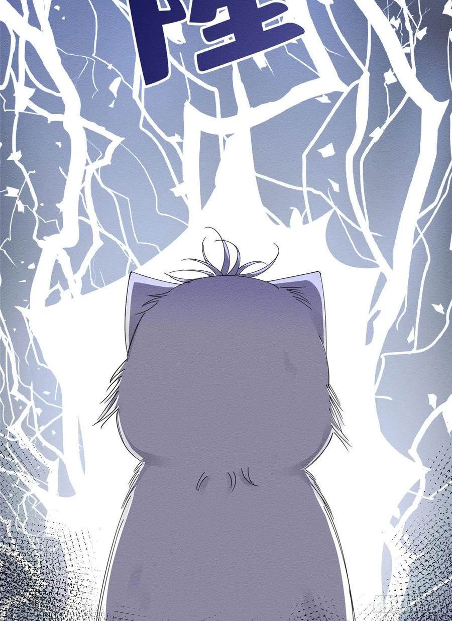 42 Tengo que trabajar duro para ser un gato hoy!