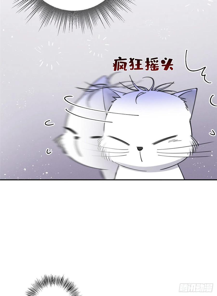 7 Tengo que trabajar duro para ser un gato hoy!