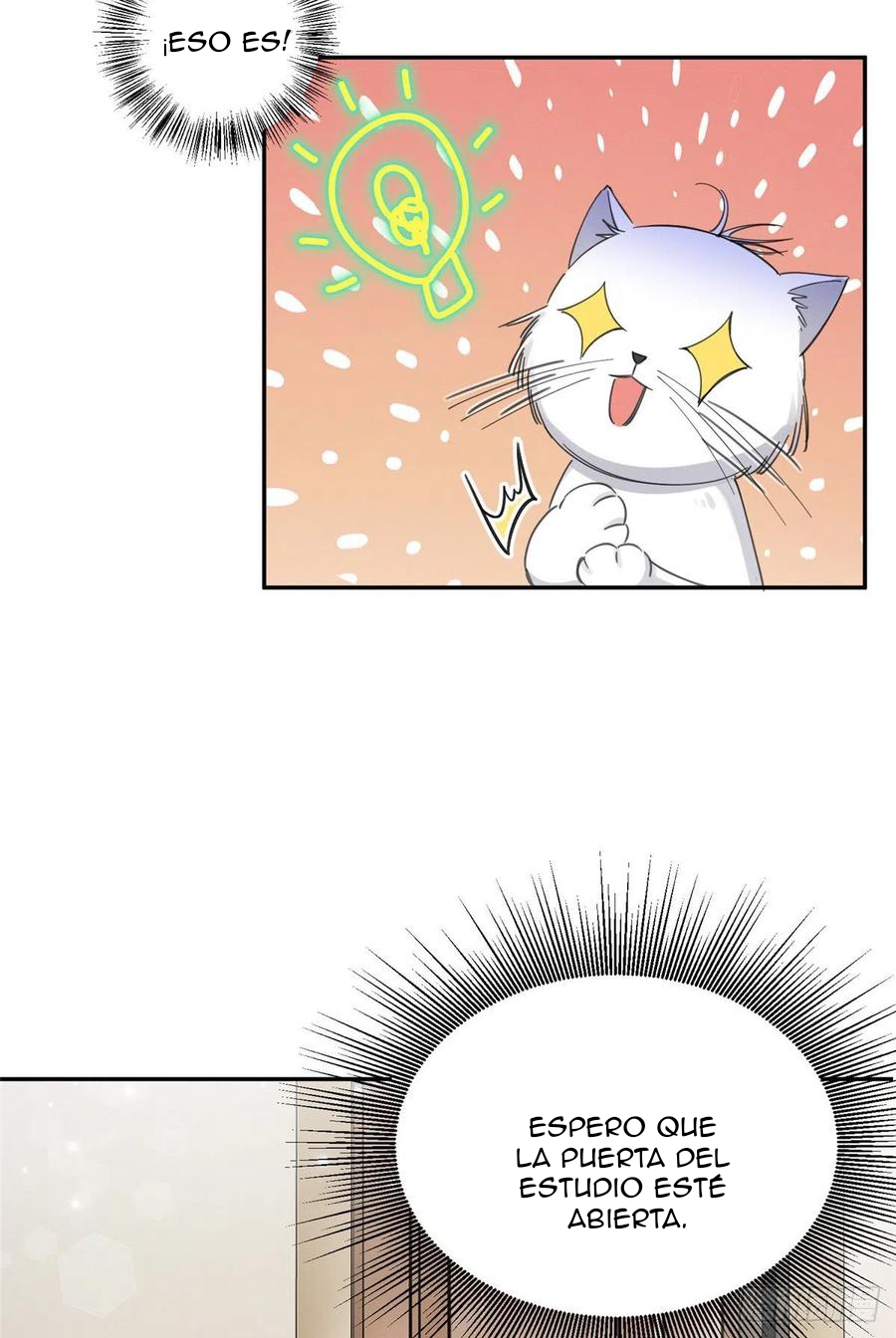 9 Tengo que trabajar duro para ser un gato hoy!