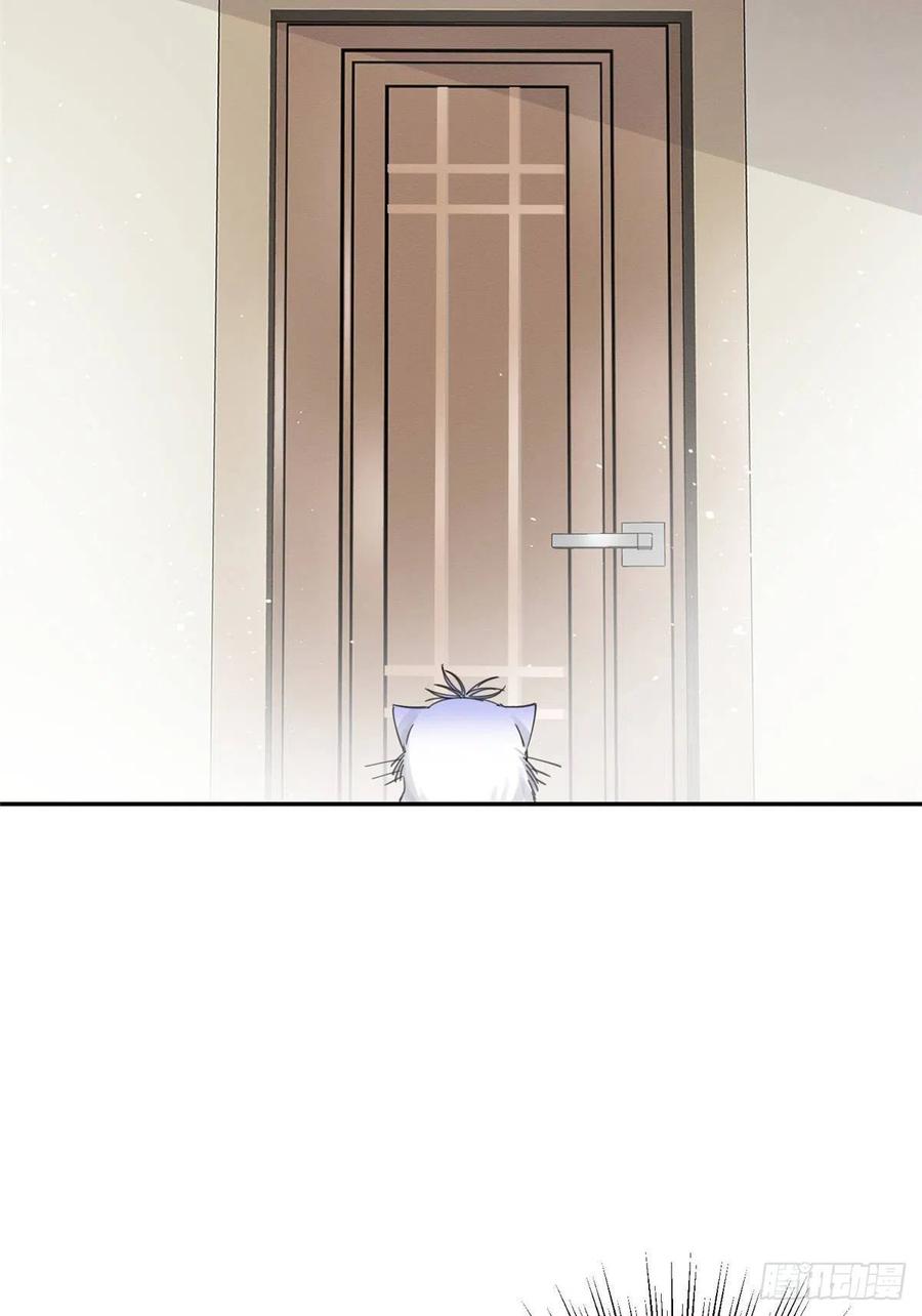 2 Tengo que trabajar duro para ser un gato hoy!