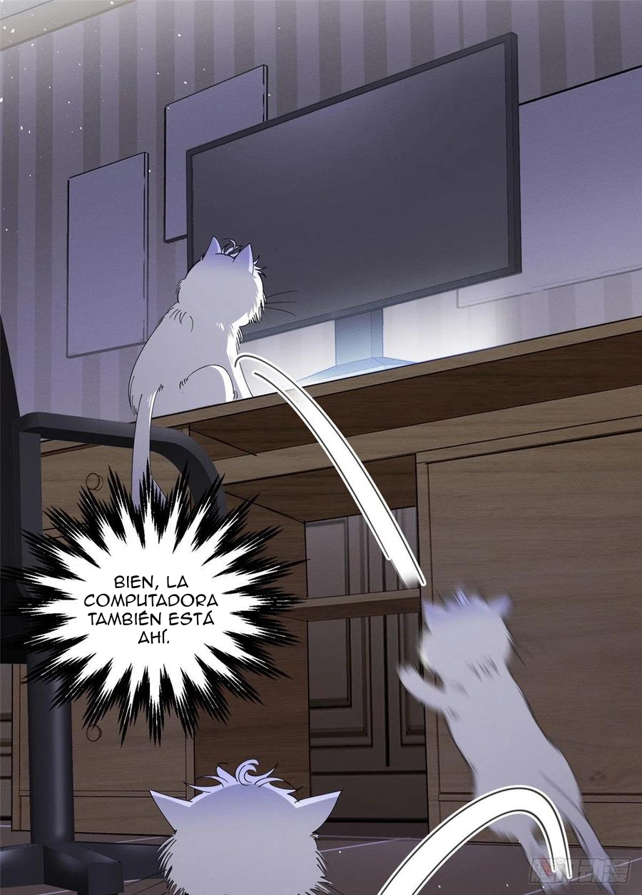 11 Tengo que trabajar duro para ser un gato hoy!