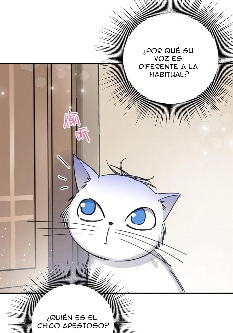 3 Tengo que trabajar duro para ser un gato hoy!