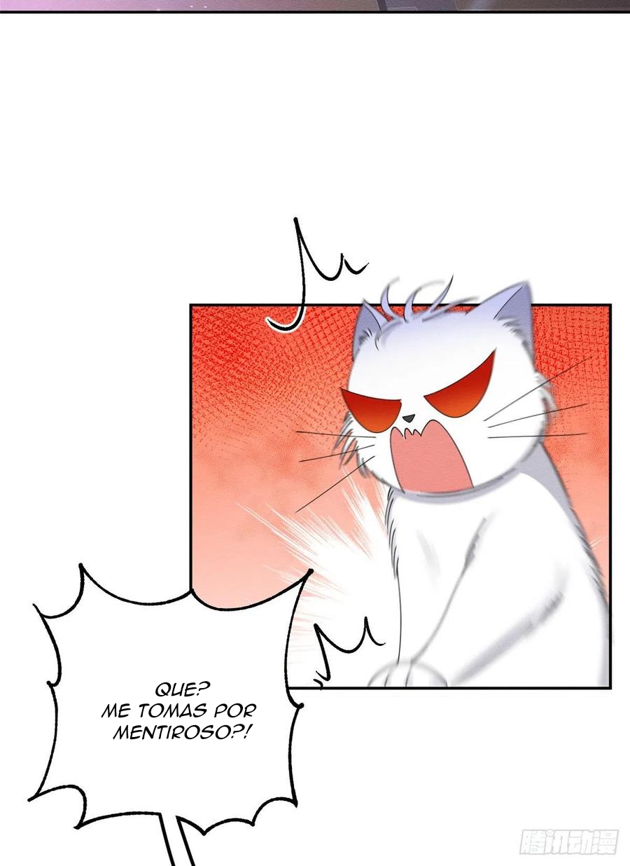 45 Tengo que trabajar duro para ser un gato hoy!