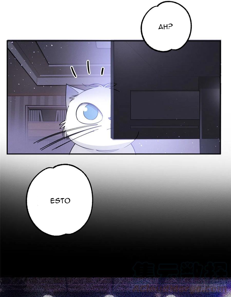 22 Tengo que trabajar duro para ser un gato hoy!