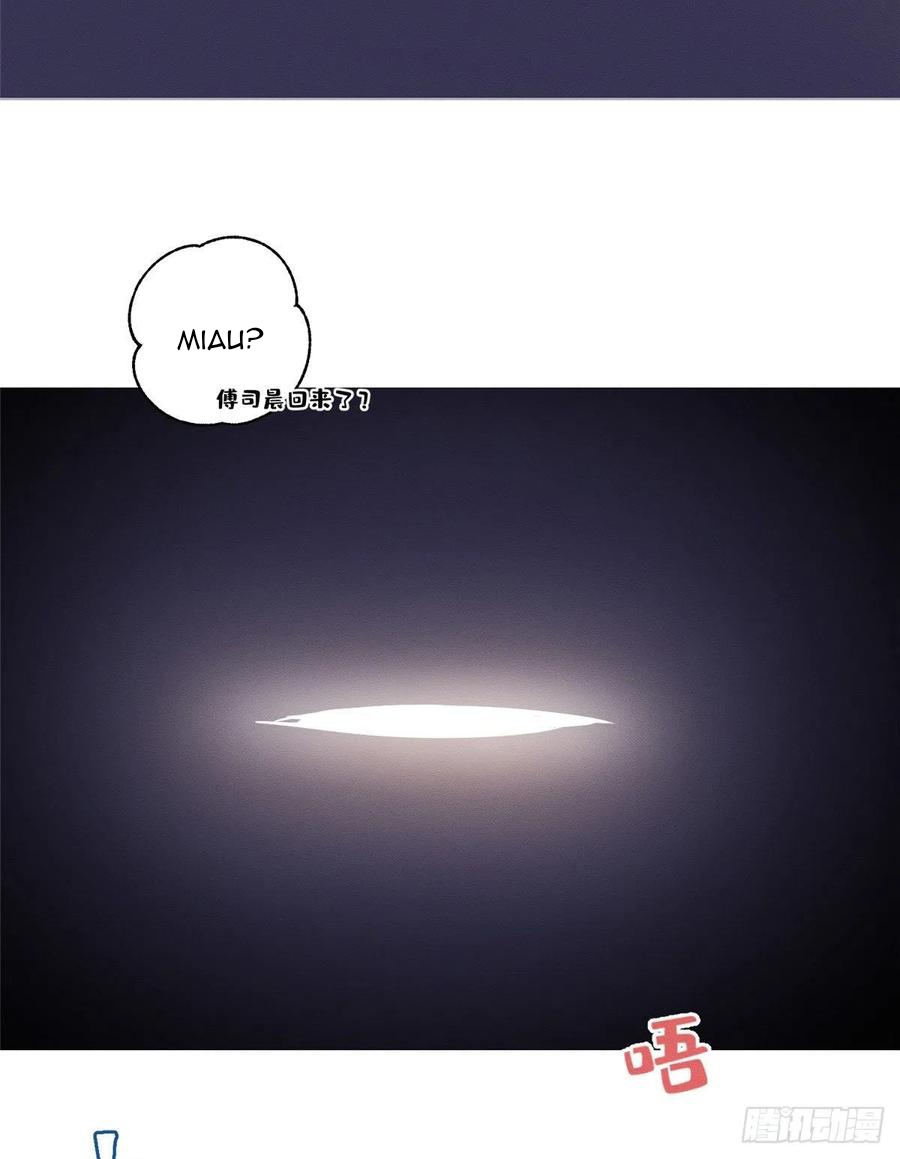 25 Tengo que trabajar duro para ser un gato hoy!