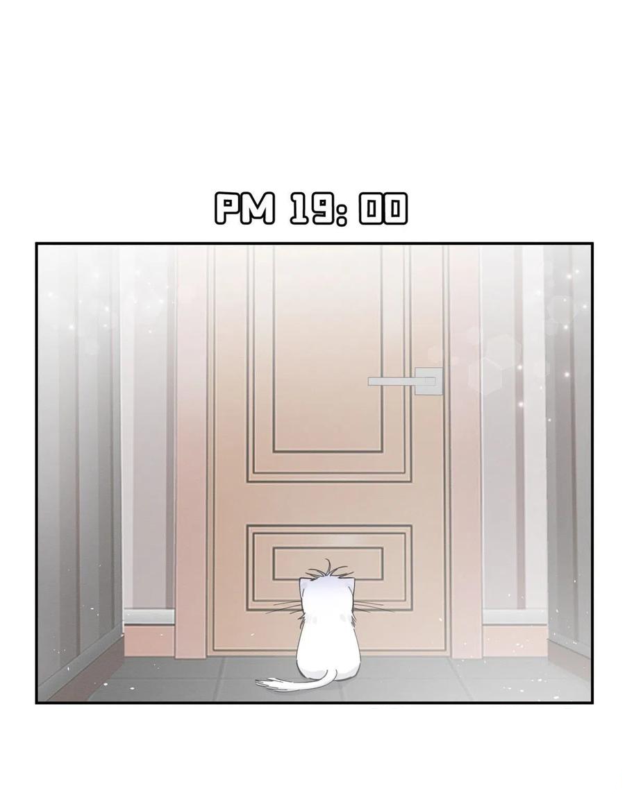 21 Tengo que trabajar duro para ser un gato hoy!