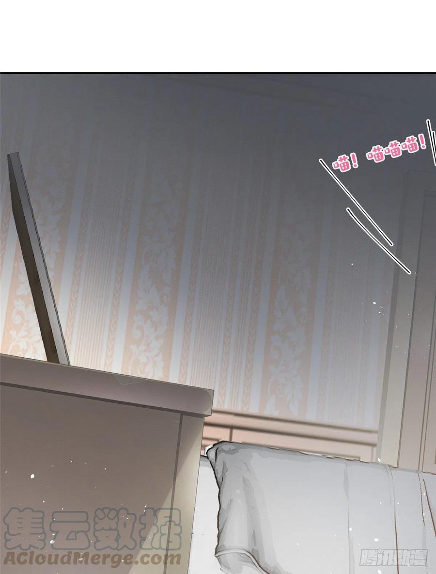 45 Tengo que trabajar duro para ser un gato hoy!