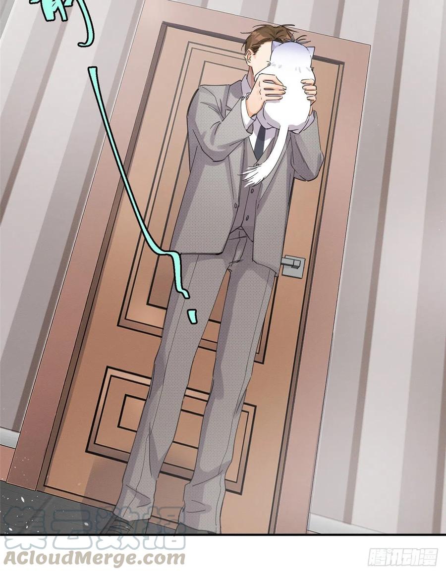 30 Tengo que trabajar duro para ser un gato hoy!