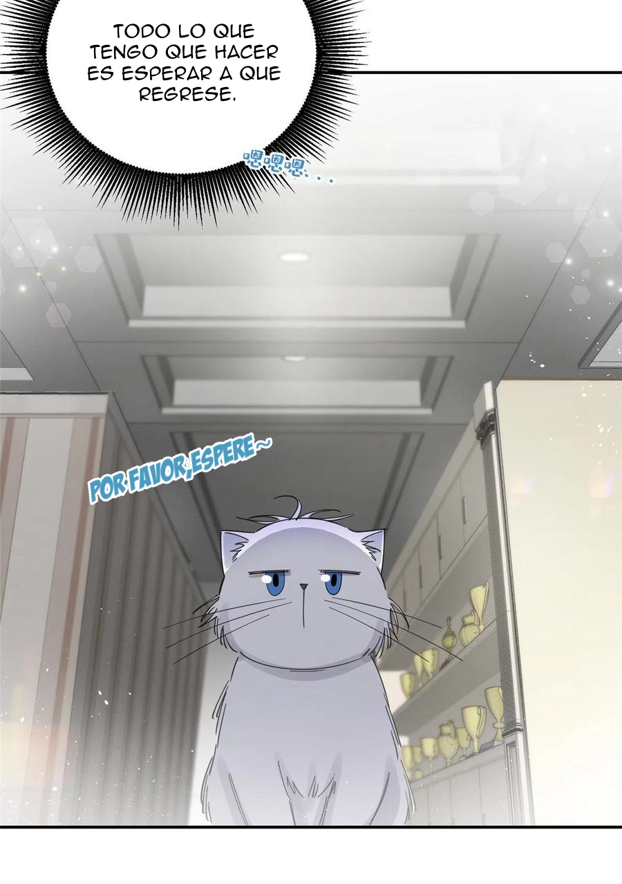 20 Tengo que trabajar duro para ser un gato hoy!