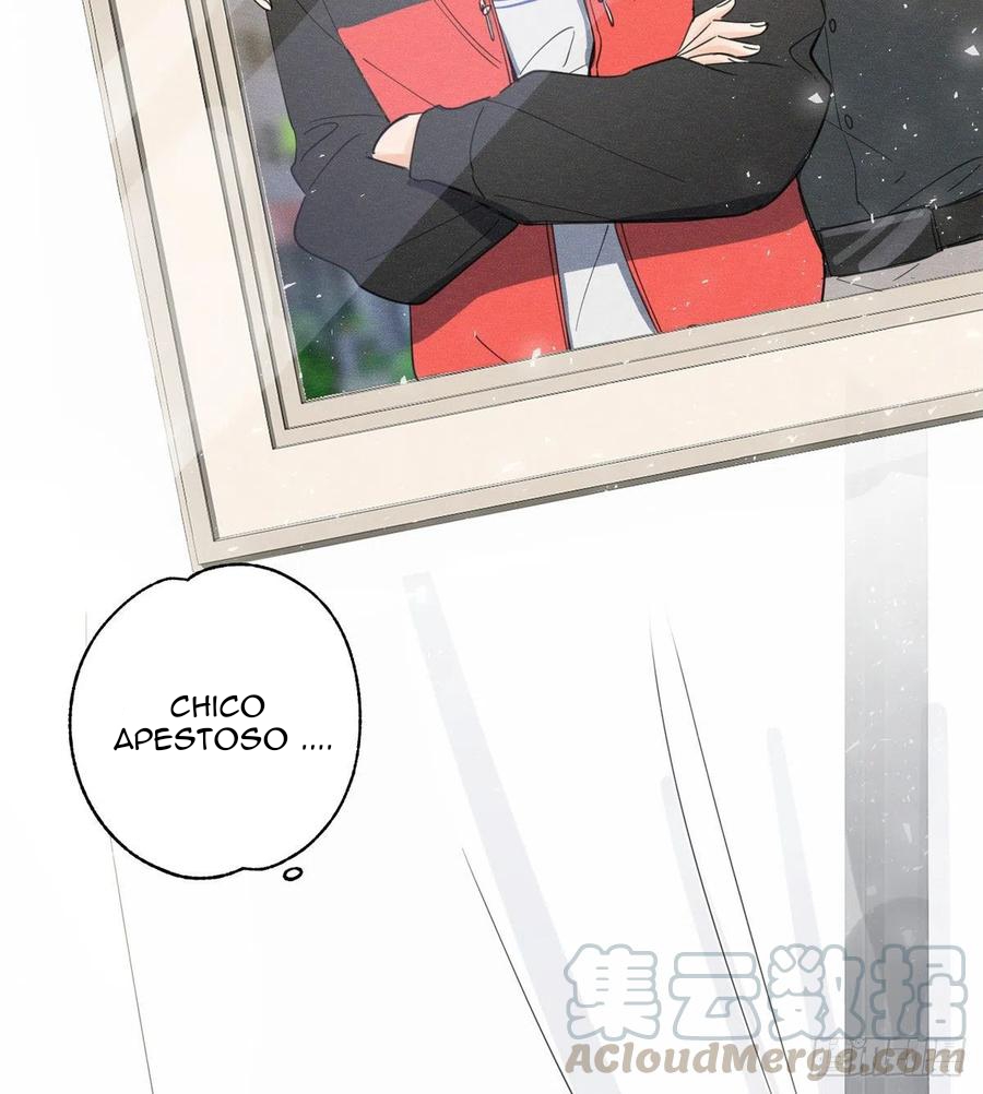 51 Tengo que trabajar duro para ser un gato hoy!