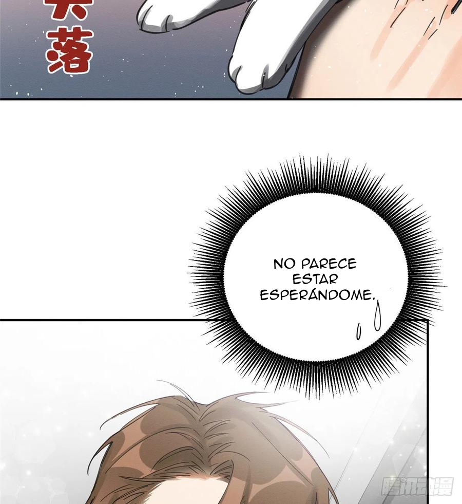 32 Tengo que trabajar duro para ser un gato hoy!