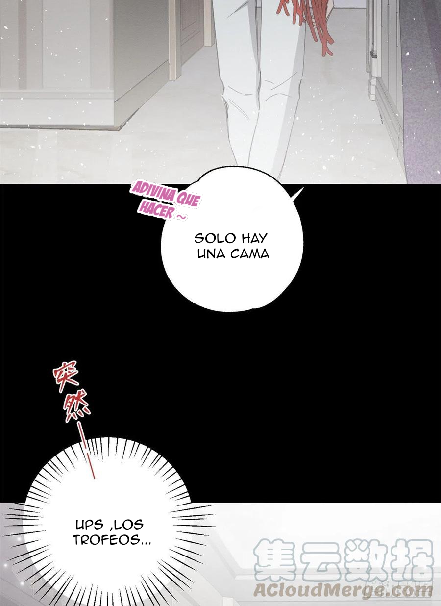 6 Tengo que trabajar duro para ser un gato hoy!