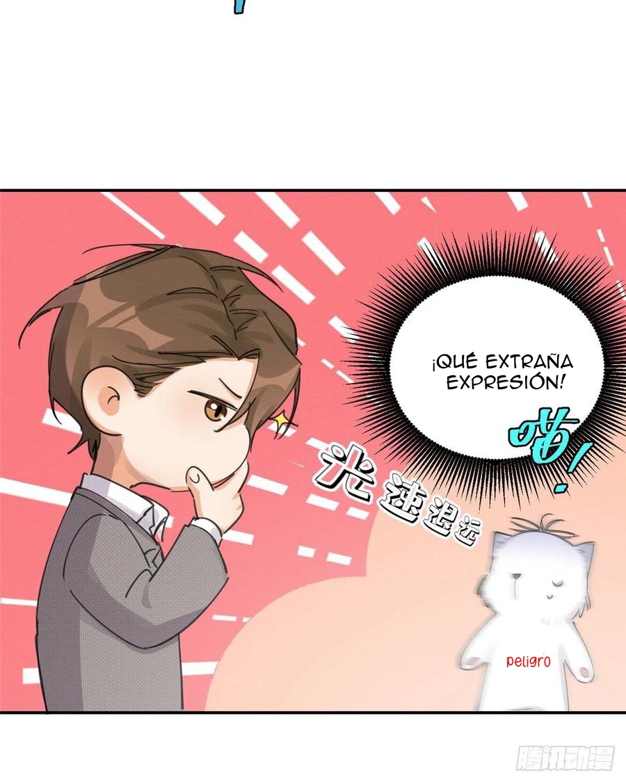 38 Tengo que trabajar duro para ser un gato hoy!