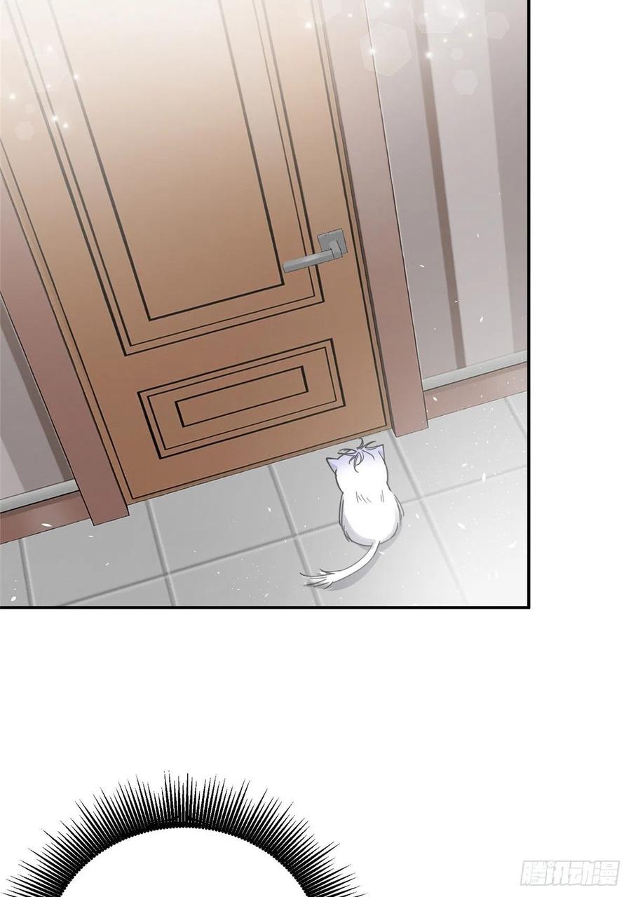 19 Tengo que trabajar duro para ser un gato hoy!