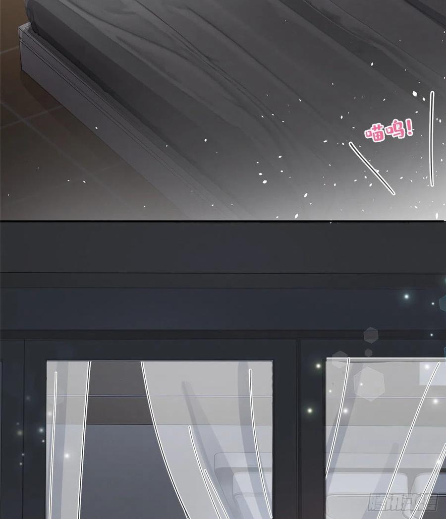 47 Tengo que trabajar duro para ser un gato hoy!