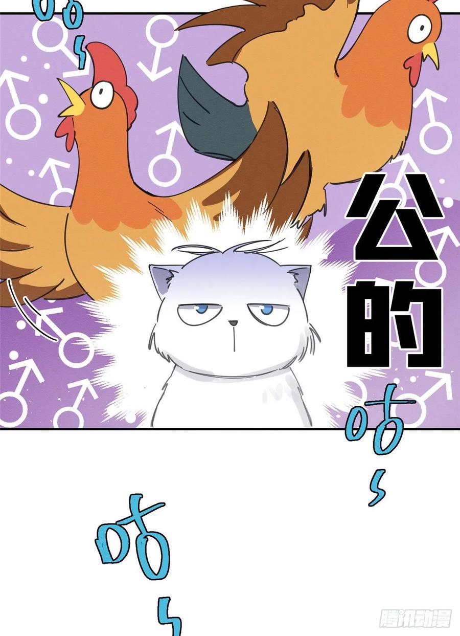 37 Tengo que trabajar duro para ser un gato hoy!