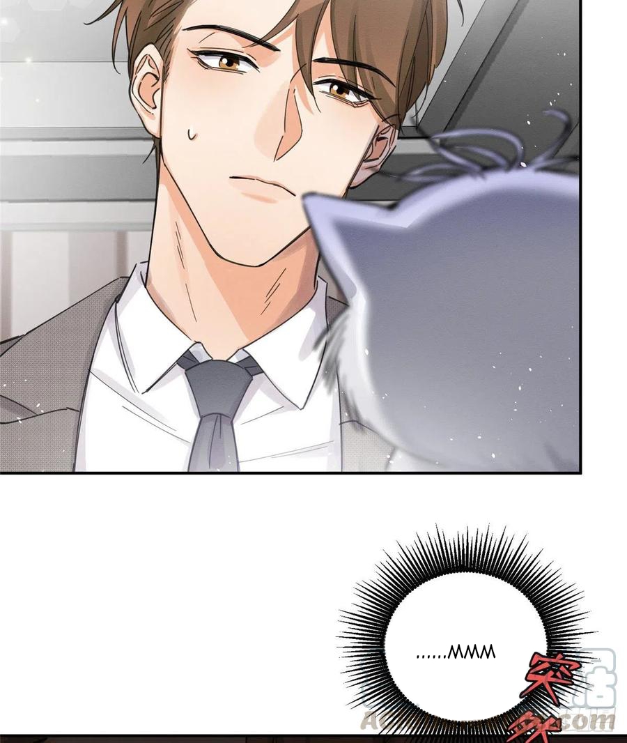 33 Tengo que trabajar duro para ser un gato hoy!