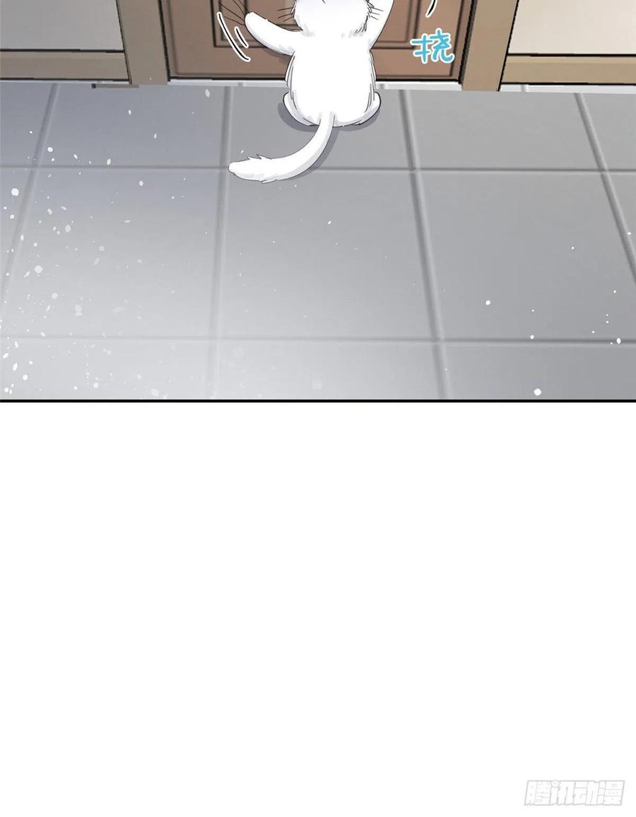 44 Tengo que trabajar duro para ser un gato hoy!