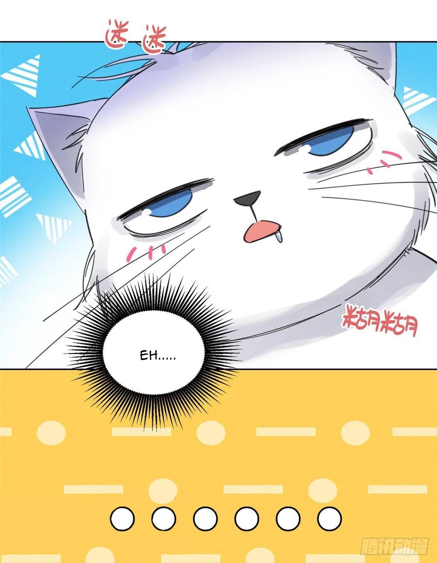 27 Tengo que trabajar duro para ser un gato hoy!