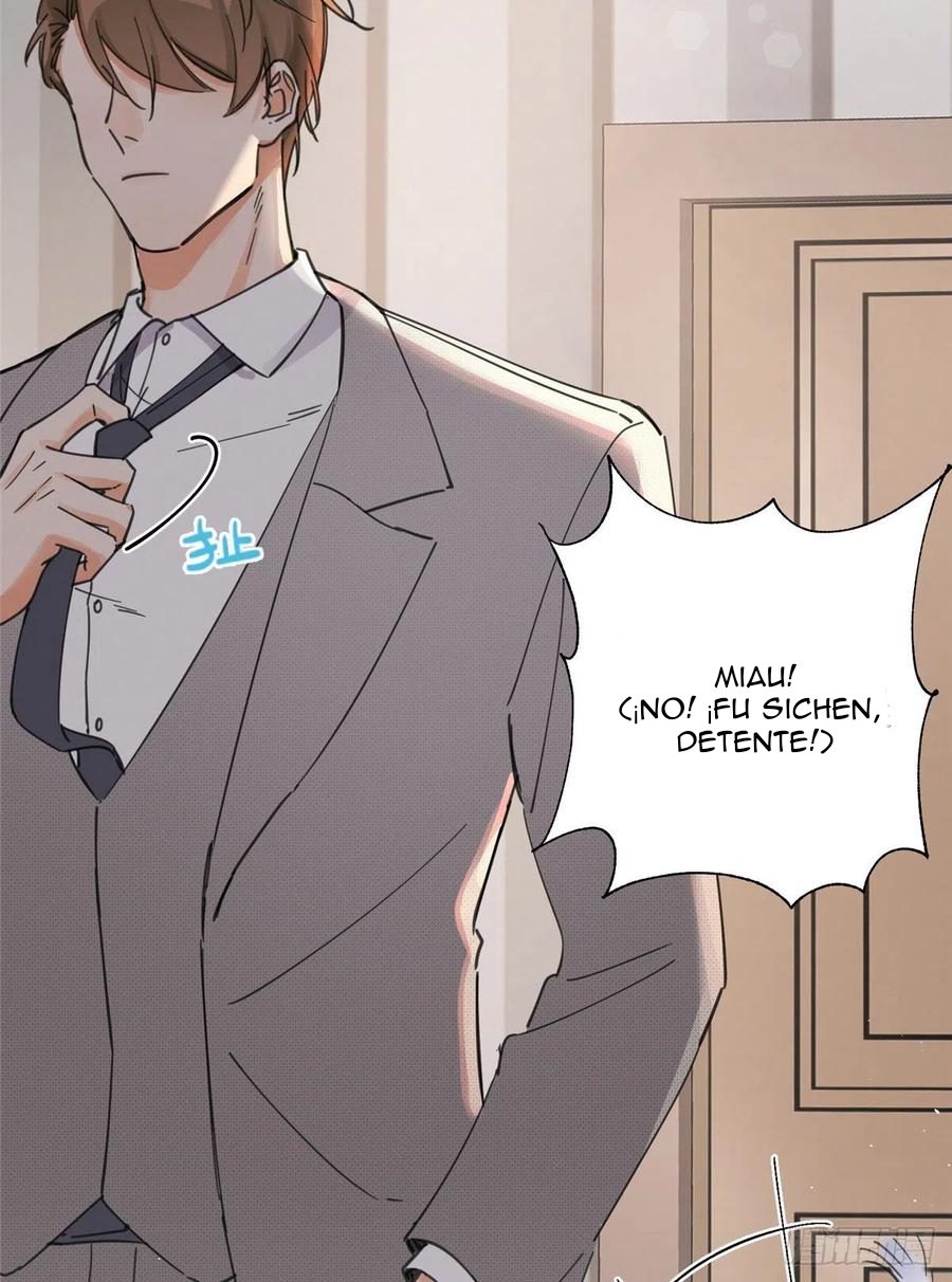 41 Tengo que trabajar duro para ser un gato hoy!