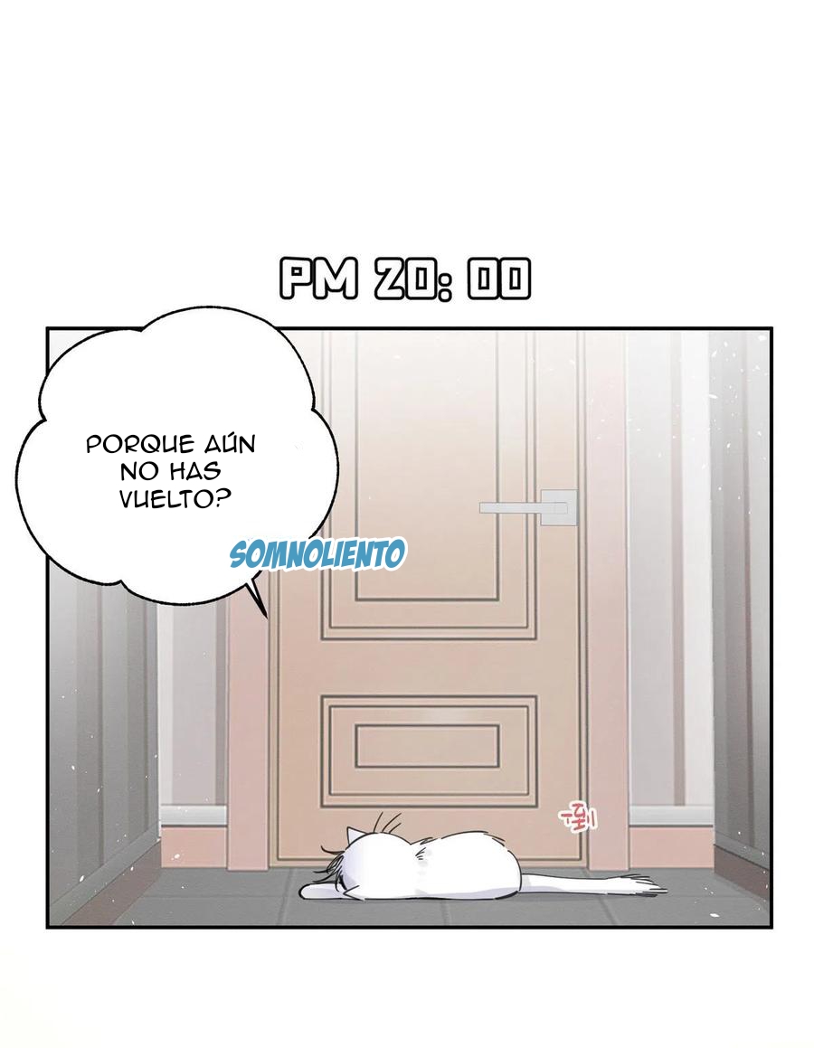 22 Tengo que trabajar duro para ser un gato hoy!