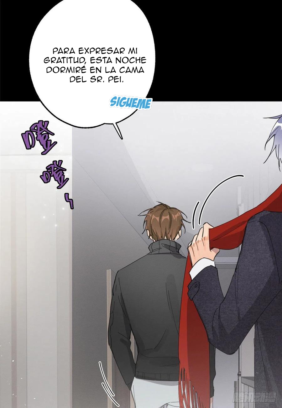 5 Tengo que trabajar duro para ser un gato hoy!