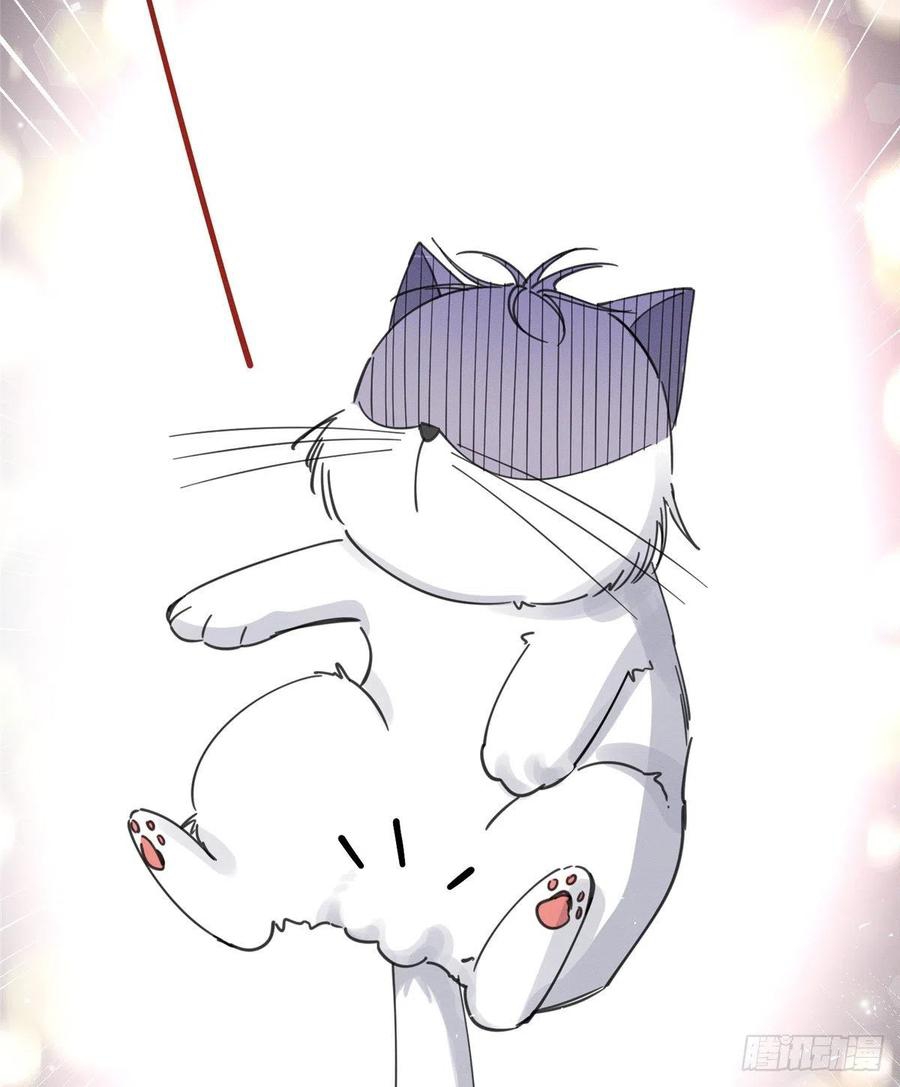 35 Tengo que trabajar duro para ser un gato hoy!