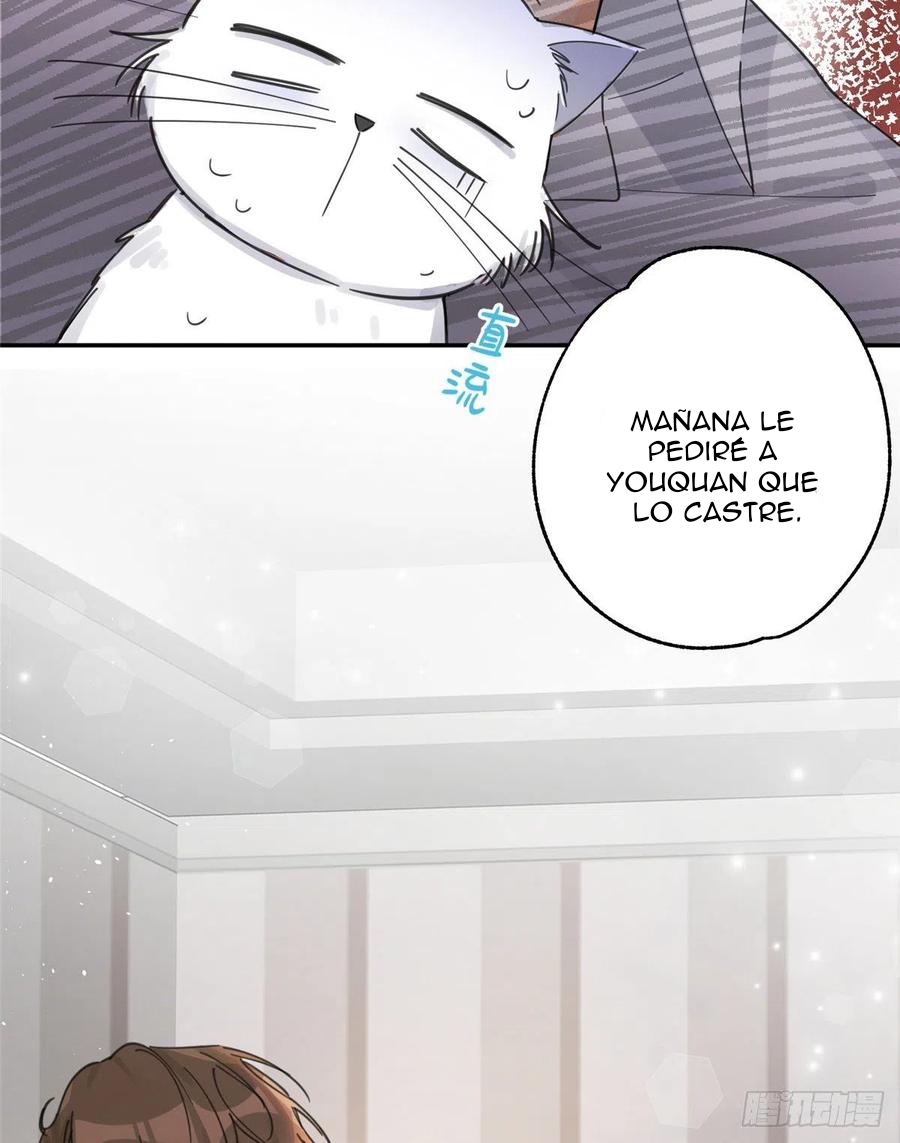 40 Tengo que trabajar duro para ser un gato hoy!