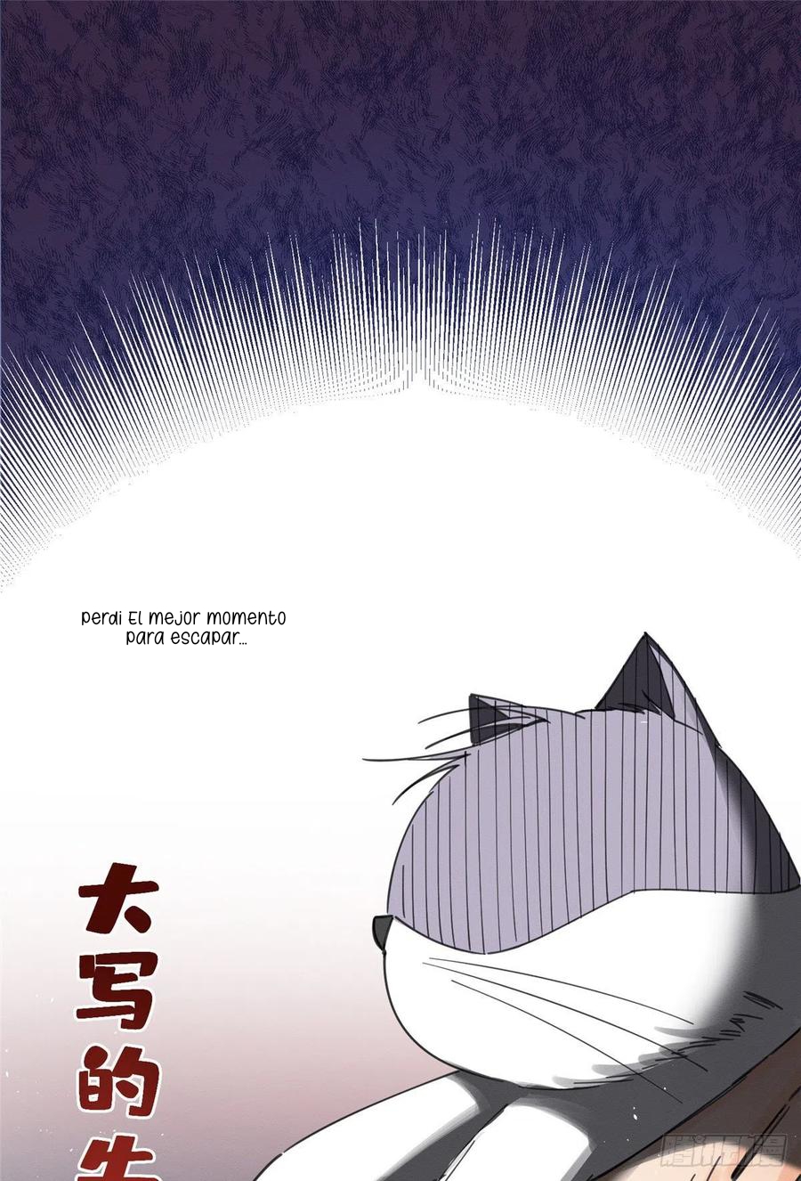 31 Tengo que trabajar duro para ser un gato hoy!