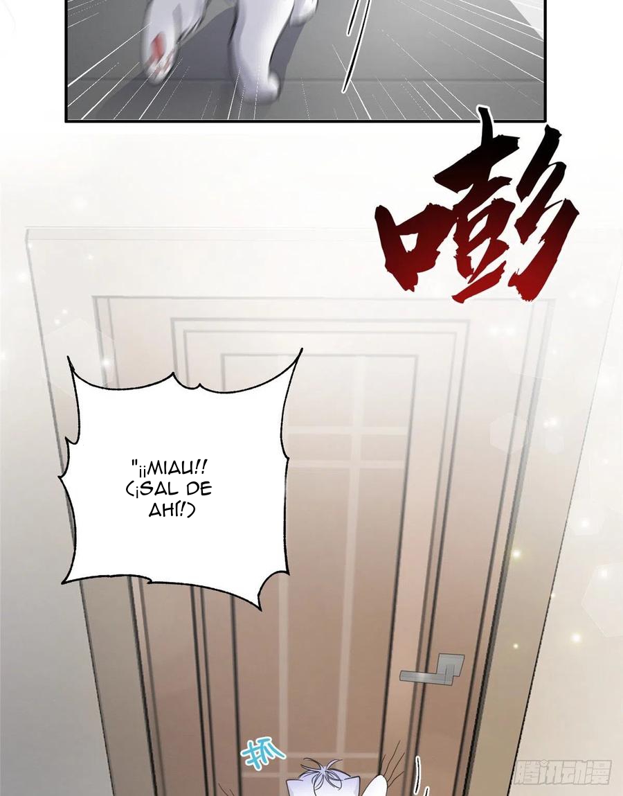 43 Tengo que trabajar duro para ser un gato hoy!