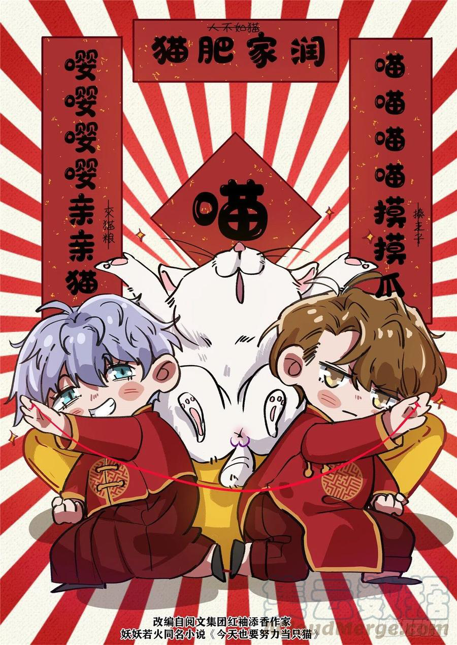 0 Tengo que trabajar duro para ser un gato hoy!