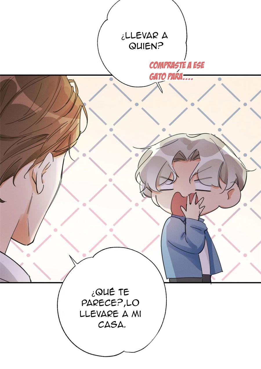 21 Tengo que trabajar duro para ser un gato hoy!