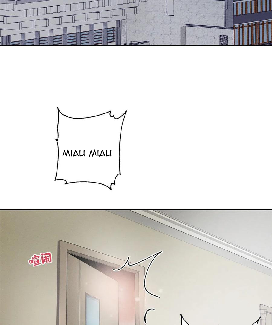 2 Tengo que trabajar duro para ser un gato hoy!