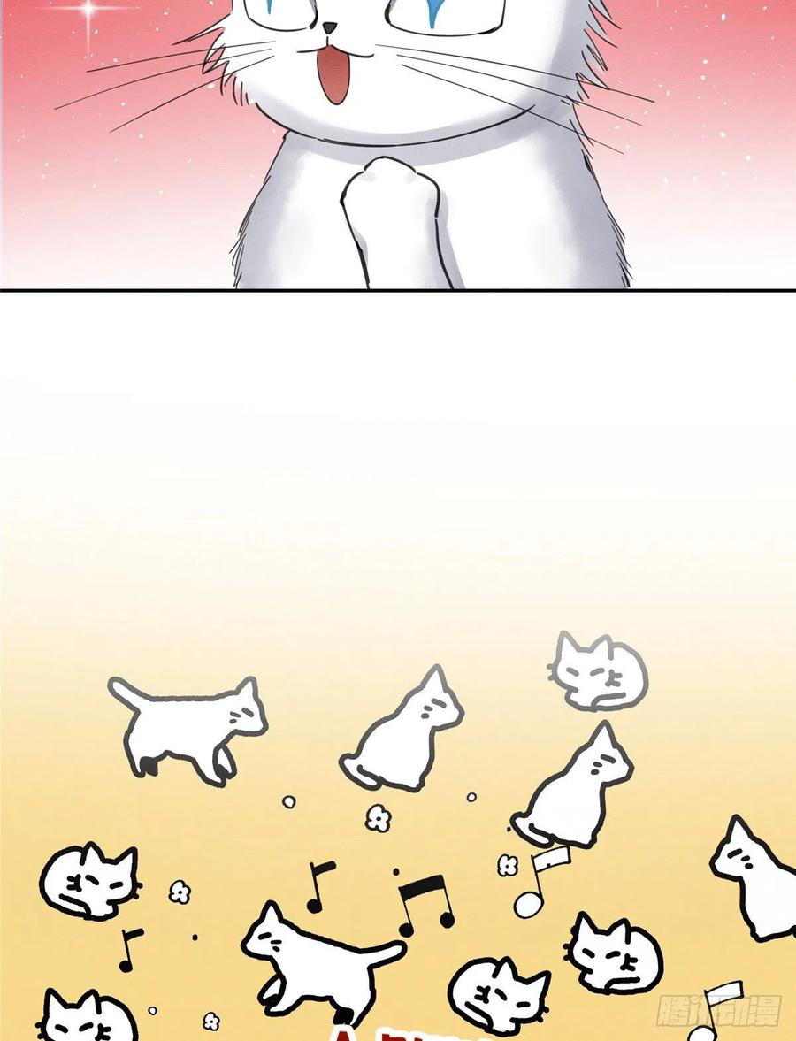 56 Tengo que trabajar duro para ser un gato hoy!