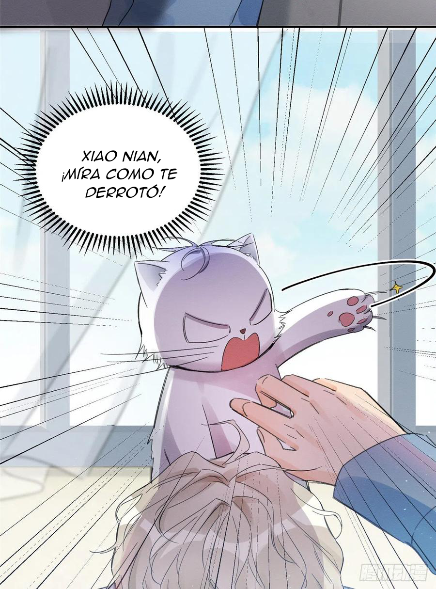 5 Tengo que trabajar duro para ser un gato hoy!