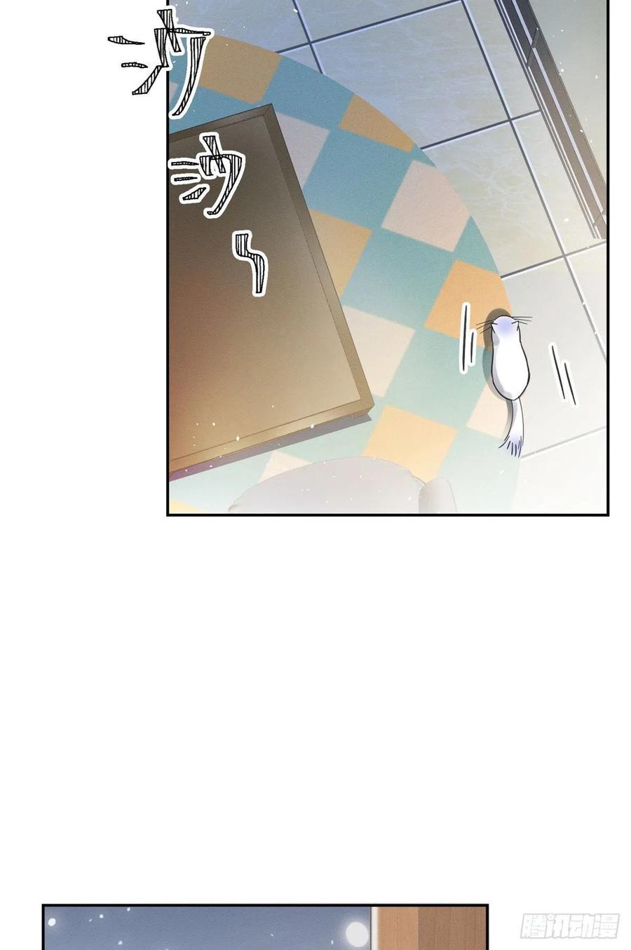 43 Tengo que trabajar duro para ser un gato hoy!