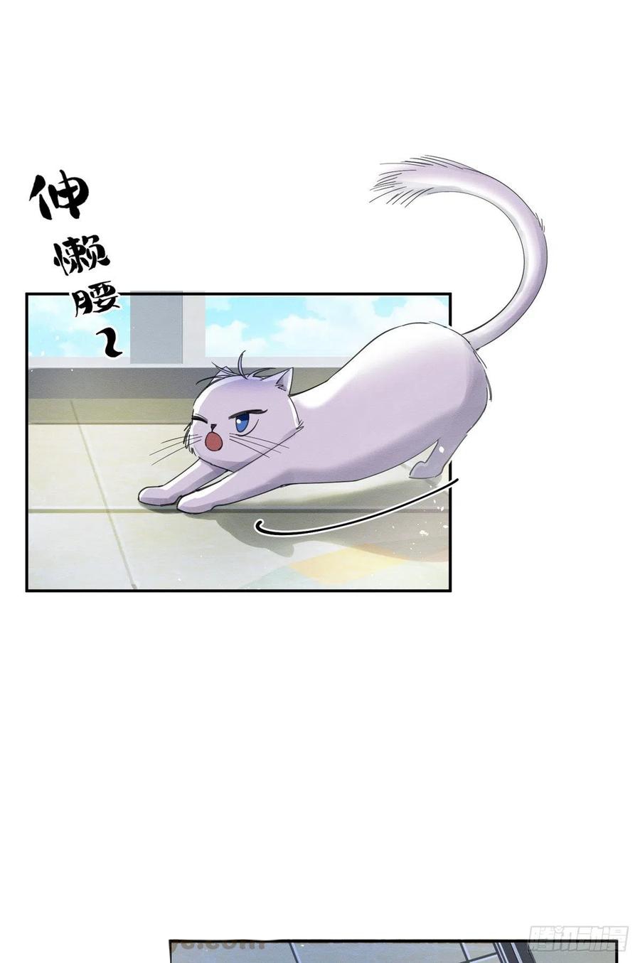 42 Tengo que trabajar duro para ser un gato hoy!