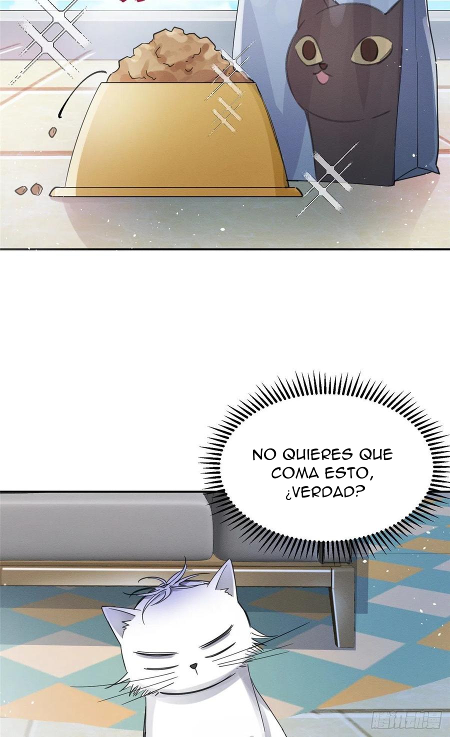 49 Tengo que trabajar duro para ser un gato hoy!