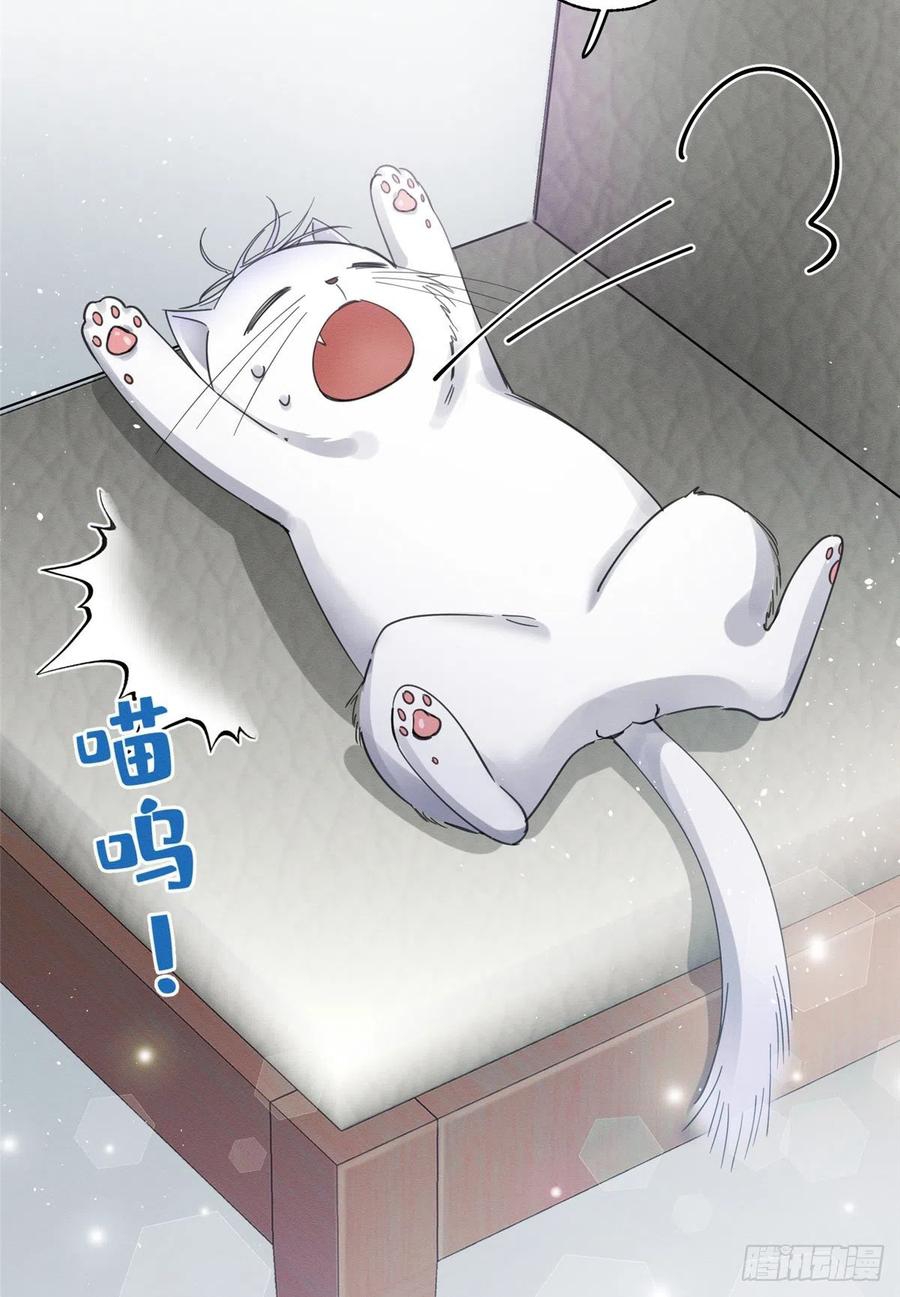 58 Tengo que trabajar duro para ser un gato hoy!