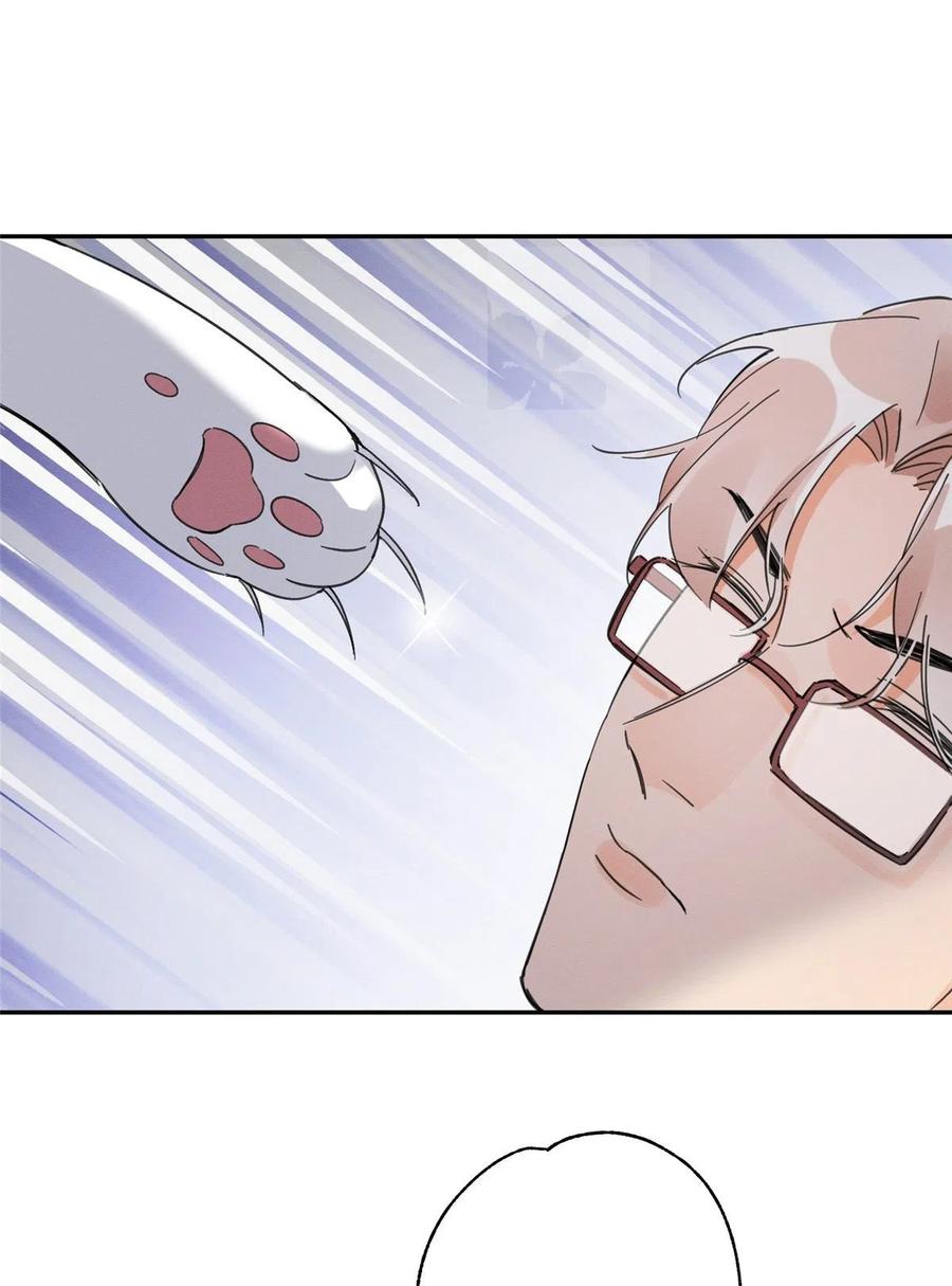 7 Tengo que trabajar duro para ser un gato hoy!