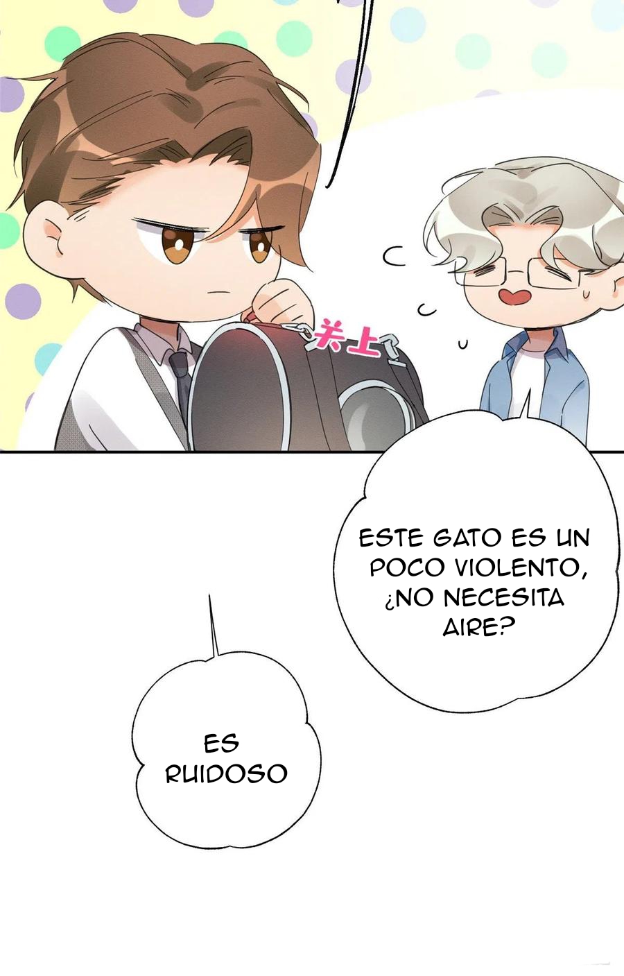 30 Tengo que trabajar duro para ser un gato hoy!