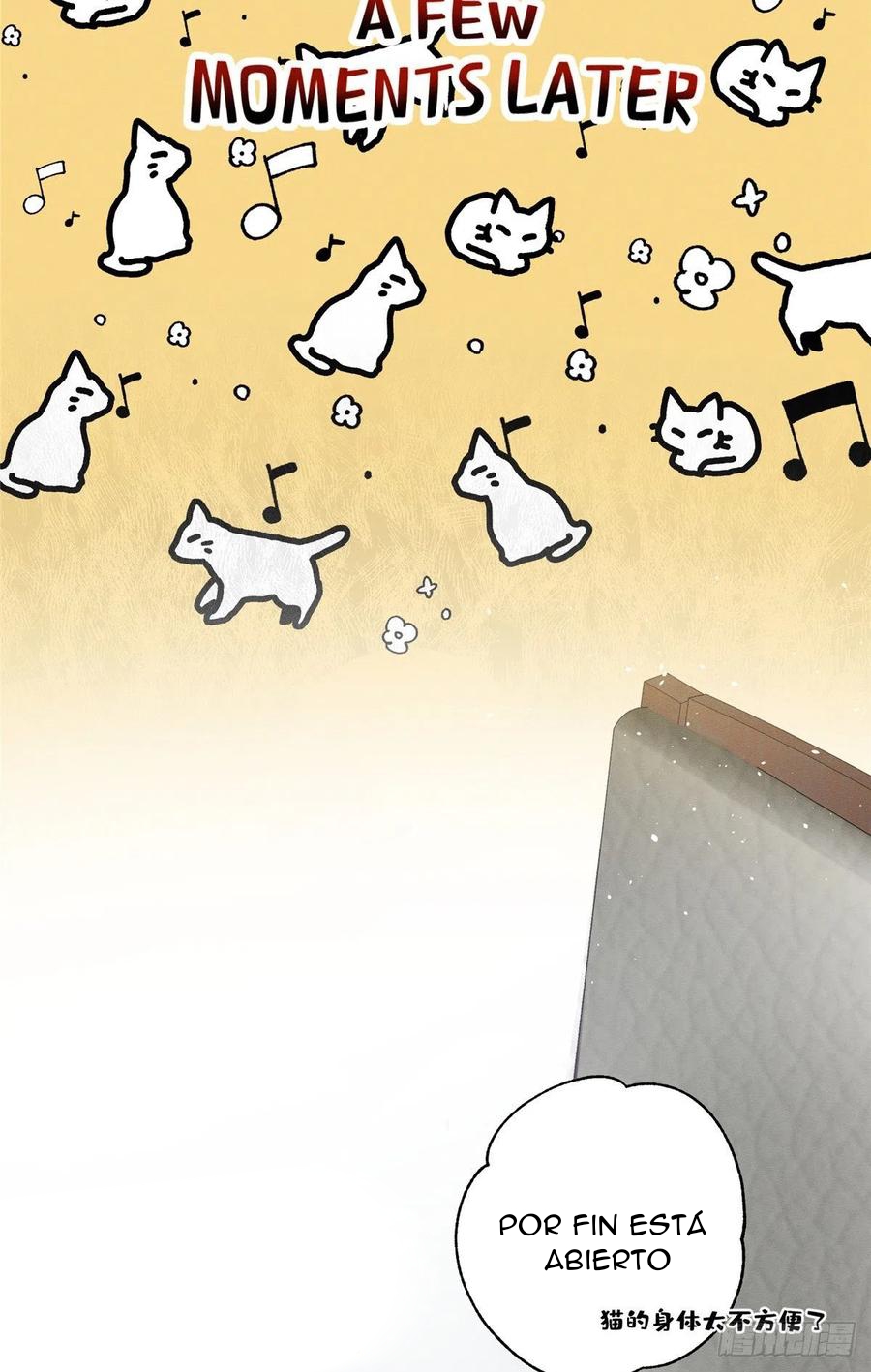 57 Tengo que trabajar duro para ser un gato hoy!