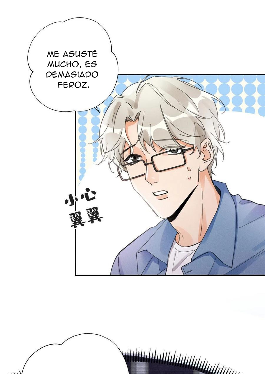 14 Tengo que trabajar duro para ser un gato hoy!