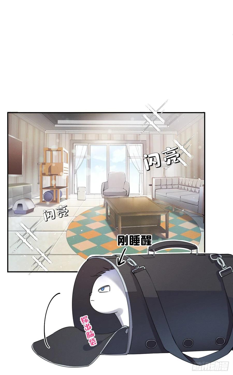 41 Tengo que trabajar duro para ser un gato hoy!