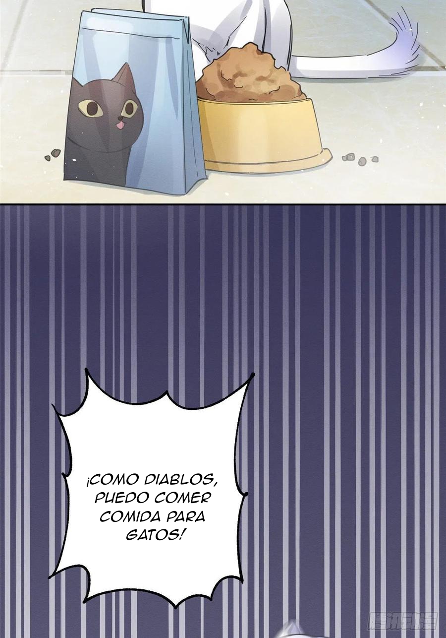 50 Tengo que trabajar duro para ser un gato hoy!