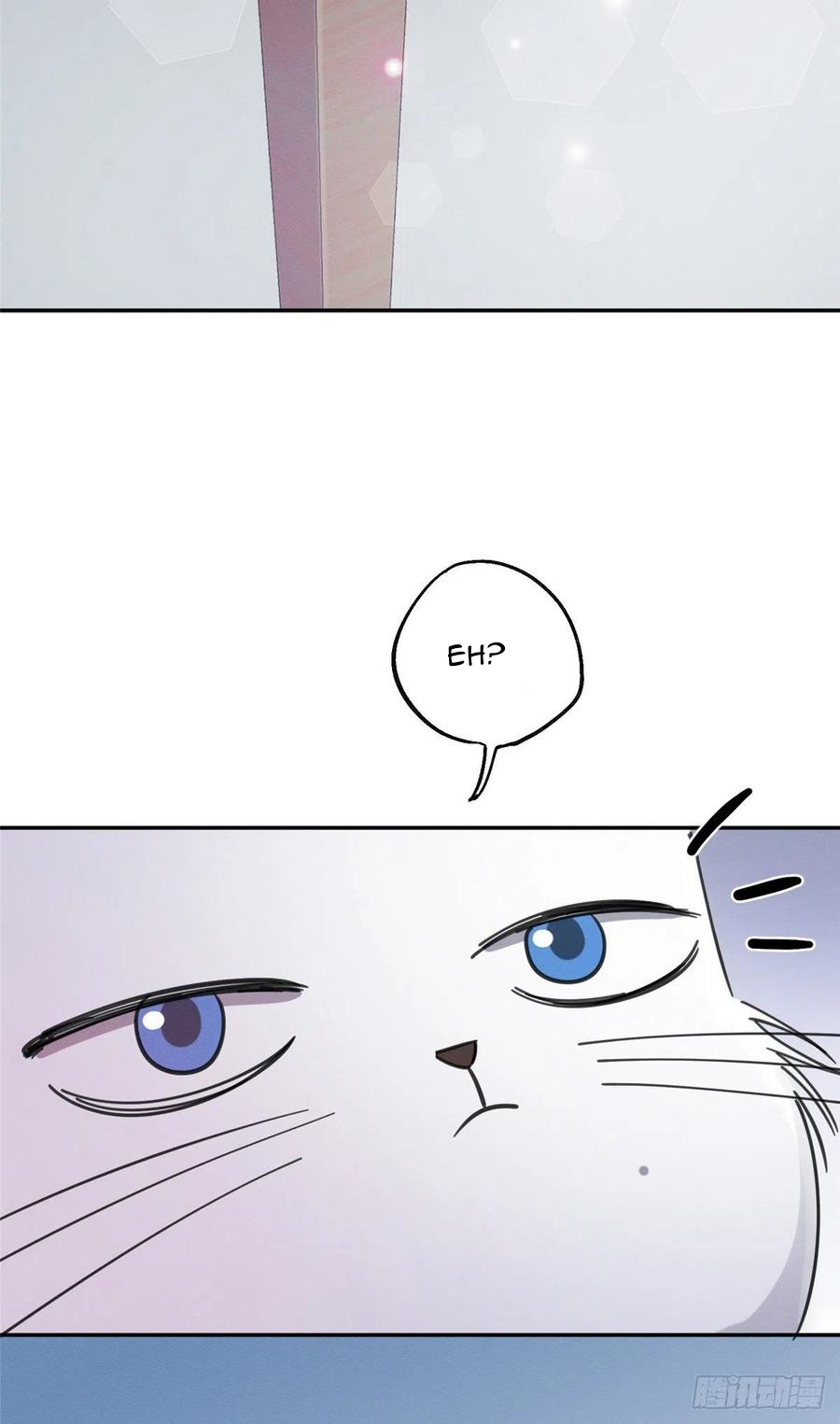 59 Tengo que trabajar duro para ser un gato hoy!