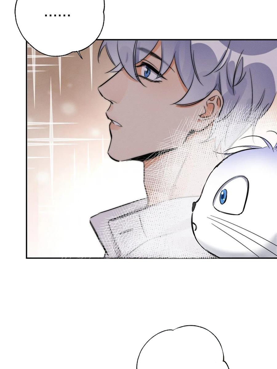 12 Tengo que trabajar duro para ser un gato hoy!